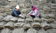 <b>山东沂源:手工粉条节前加工忙</b>