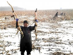 <b>山东郯城：采莲湖畔采藕忙</b>