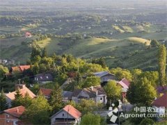 <b>将基层党建纳入乡村振兴战略蓝图</b>