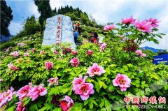 <b>重庆垫江：实施乡村振兴战略 培育旅游支柱产业 增强群众幸福感</b>