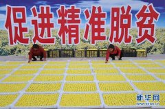 <b>谱写新时代乡村全面振兴新篇章</b>