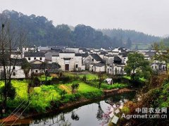 <b>我国深化农村改革“三箭齐发”</b>