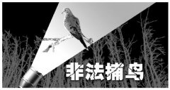 <b>湖南新化森林公安打击非法捕猎候鸟 4年破案66起</b>