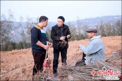 <b>四川苍溪乡村旅游将添新景点</b>