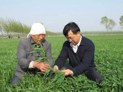<b>张福锁院士：砥砺前行 探寻绿色发展路</b>