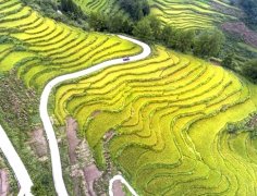 <b>重庆丰都：加快现代特色效益农业转型升级步伐</b>