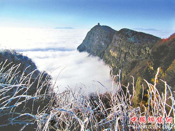 图片默认标题_fororder_2
