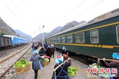 <b>贵州：山区“慢火车” 独特风景线</b>