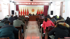 <b>陕西华州区杏林镇：传达贯彻区委一届五次全会精神</b>