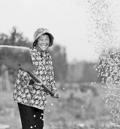 今年农产品价格呈何走势 今年农产品价格呈何走势