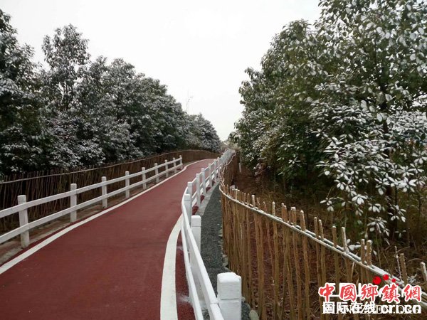 图片默认标题_fororder_雪中的田园绿道（摄影-韩章尧）
