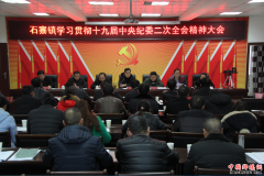 <b>四川泸州：石寨镇认真学习第十九届中央纪委二次全会精神</b>