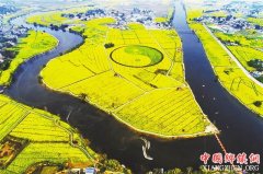 <b>潼南油菜花海即将全新亮相</b>