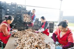 <b>昆明确保年内农村贫困人口全面脱贫</b>