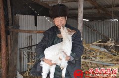 <b>辽宁：西丰县榆树村 “脱贫”记</b>