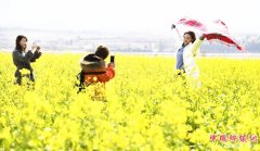 <b>江西新余：油菜花开春来早</b>