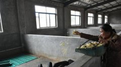 <b>湖南娄底：旅游+扶贫 “加”出新希望</b>