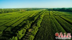 <b>“榆阳模式”开创“三农”建设新局面</b>