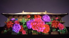 <b>西安大明宫上演3D光影秀</b>