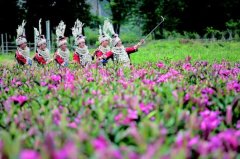 <b>台江县老屯乡榕岩大坝扶贫产业：两百余亩百合</b>