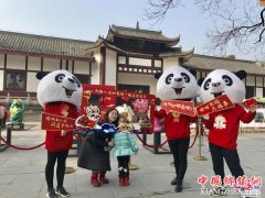 <b>“全球大熊猫”齐聚都江堰 欢迎游客共度中国年</b>