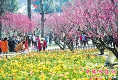 <b>花开锦官 人聚蓉城</b>