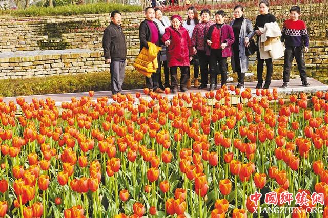 假日第五天 重庆都市旅游和古镇旅游人气旺