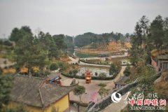 <b>涪陵古今花海：以花为媒唱好“扶贫戏”</b>