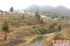 <b>泸州古蔺：“千姿百洞”丹桂文星村</b>