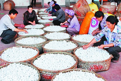 凉山深处新气象