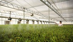 <b>春日育苗忙</b>