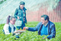 <b>黑龙江：最美基层干部付华廷</b>