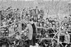 <b>「全国十佳农民风采展示」杨良杰——做新时代的新农民</b>