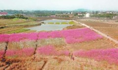 <b>四川：攻坚克难 真抓实干才能梦想成真</b>