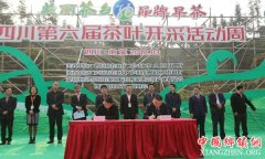 <b>四川第六届茶叶开采活动周纳溪开幕 专家为茶农补上品牌课</b>