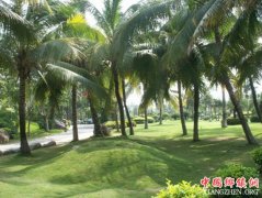 大数据管理点亮海南三亚精准扶贫新路径