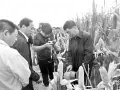 <b>全国十佳农民赵玉国：种田“真经”乐分享</b>
