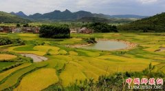 <b>国务院关于乡村旅游最新政策法规</b>