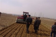 <b>新疆霍城县农村信用社10亿资金助力春耕生产</b>