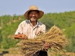 <b>福建每年将新增逾千亿元信贷规模支持乡村振兴</b>