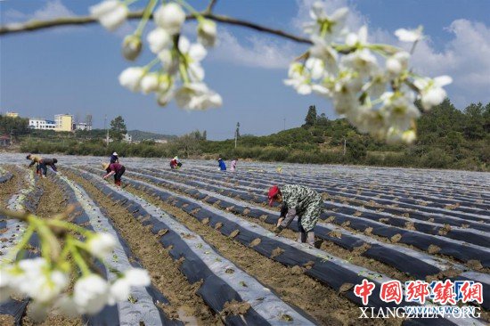 #（经济）（4）春来农事忙