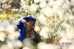 <b>春来农事忙</b>