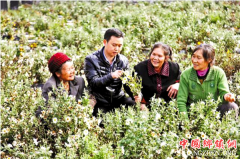 <b>大学生简义相回村种银耳 立志做新型职业农民</b>