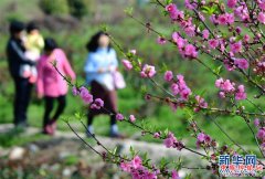<b>春光无限好 赏花正当时</b>