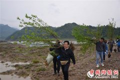 <b>春来种好树 惠民生助脱贫</b>