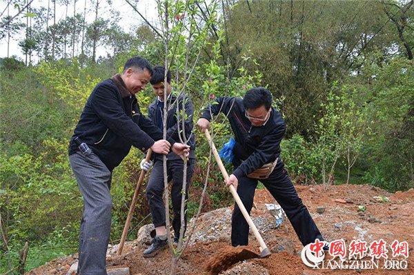图片默认标题 图片默认标题_fororder_植树_副本