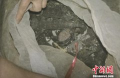 <b>广西东兴男子贩卖千只大壁虎获刑10年</b>