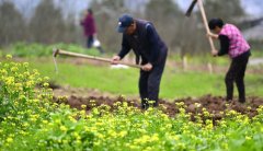 <b>春暖农事忙</b>