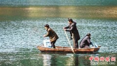 <b>重庆酉阳：26万多尾搬家的鱼 让村里有了集体经济</b>