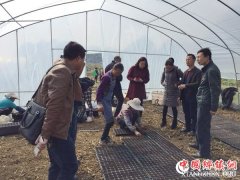 <b>镇宁：农业专家集中会诊扁担山脱贫攻坚</b>
